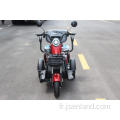 EST Price Electric Tricycle Transport Car